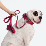 Collar de control cómodo - Camuflaje Fucsia