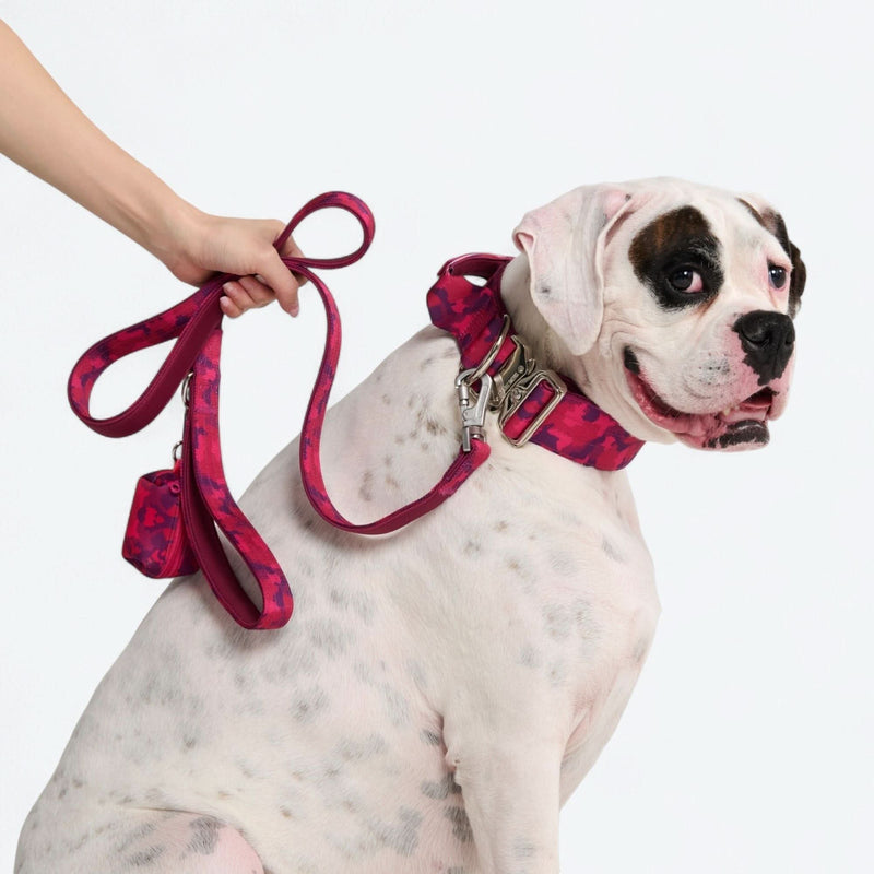 Collar de control cómodo - Camuflaje Fucsia