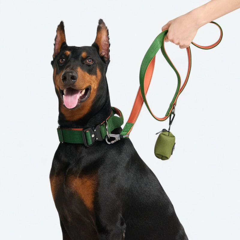 Collar de control cómodo - Verde Naranja