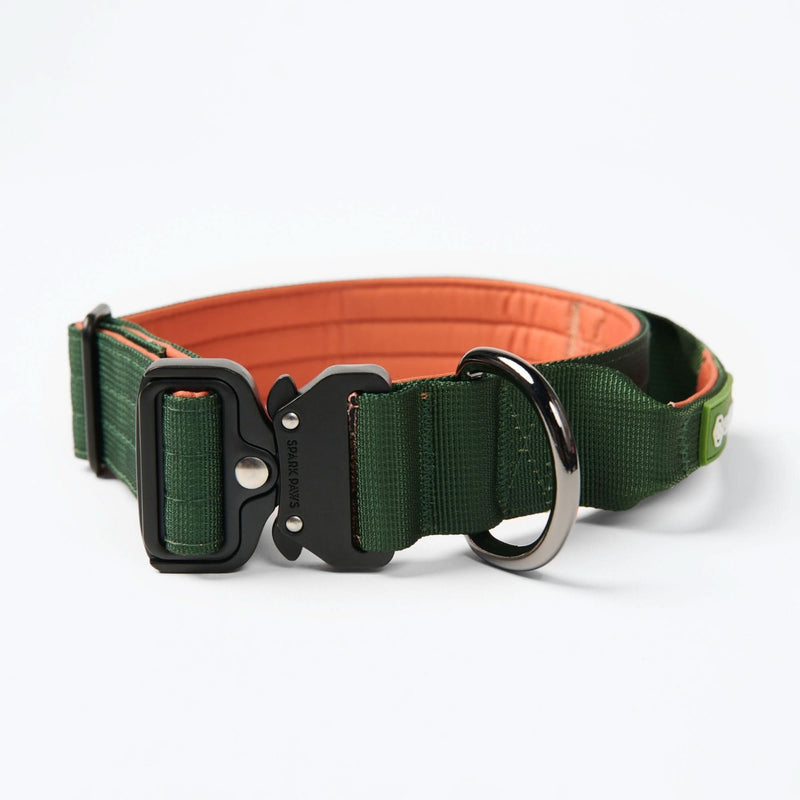 Collar de control cómodo - Verde Naranja