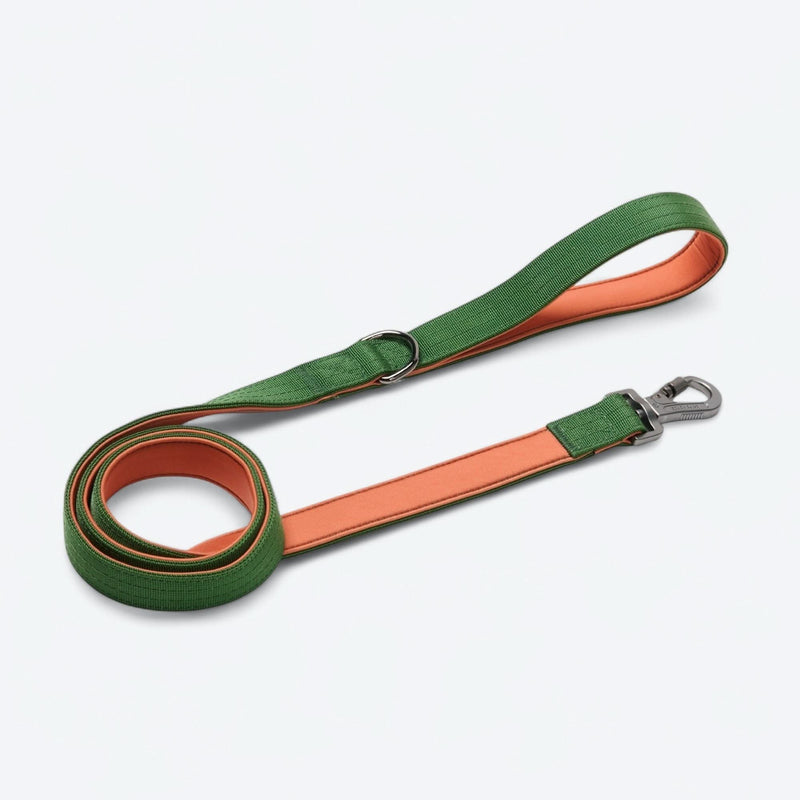 Set de collar de control cómodo - Verde Naranja