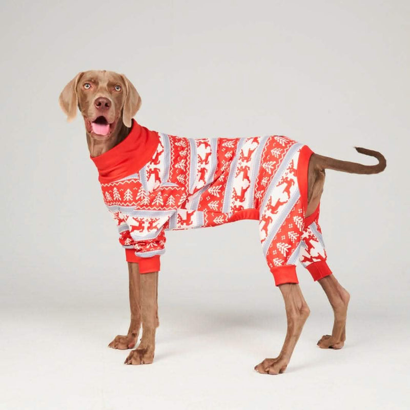 Pijama para Perros - País de las Maravillas Invernales