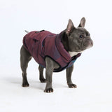 Chaqueta resistente al agua WarmShield - Cosmic