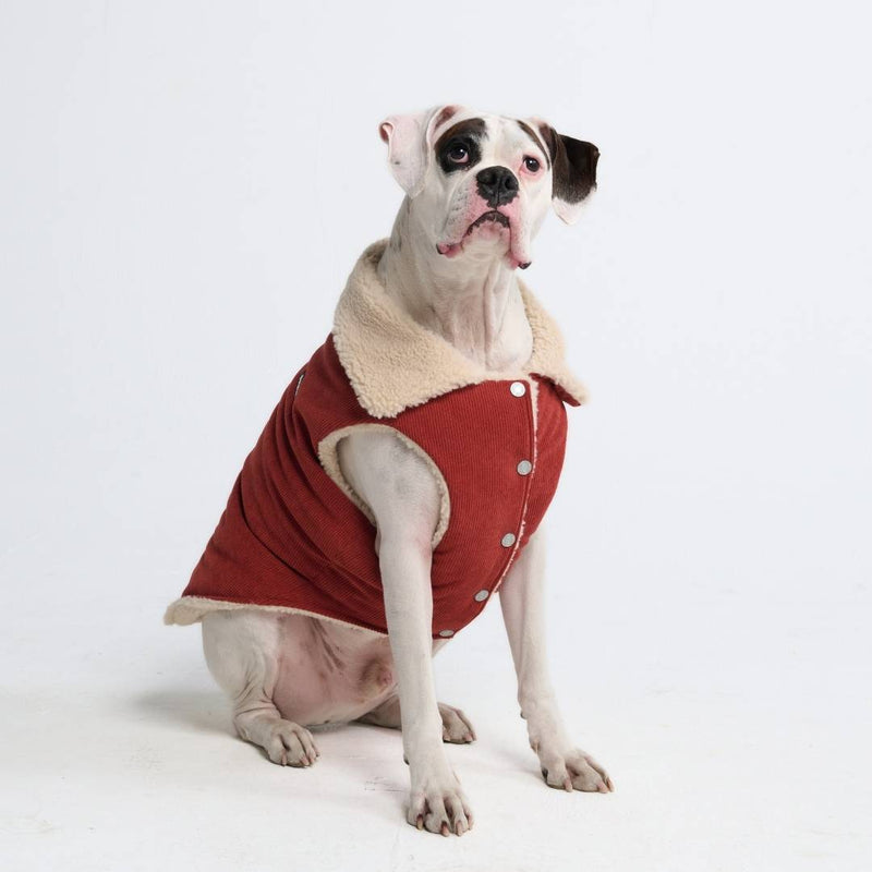 Chaqueta aislante de pana - Ámbar