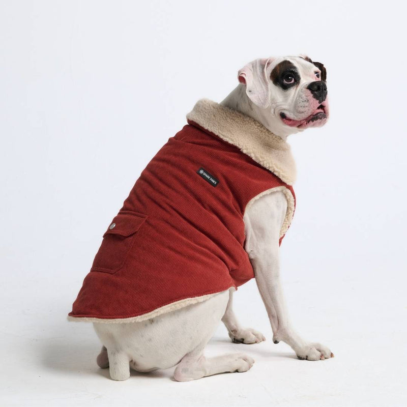 Chaqueta aislante de pana - Ámbar