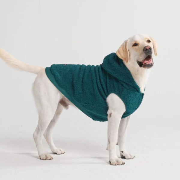 Chaqueta para perro Teddy Sherpa - Verde pino