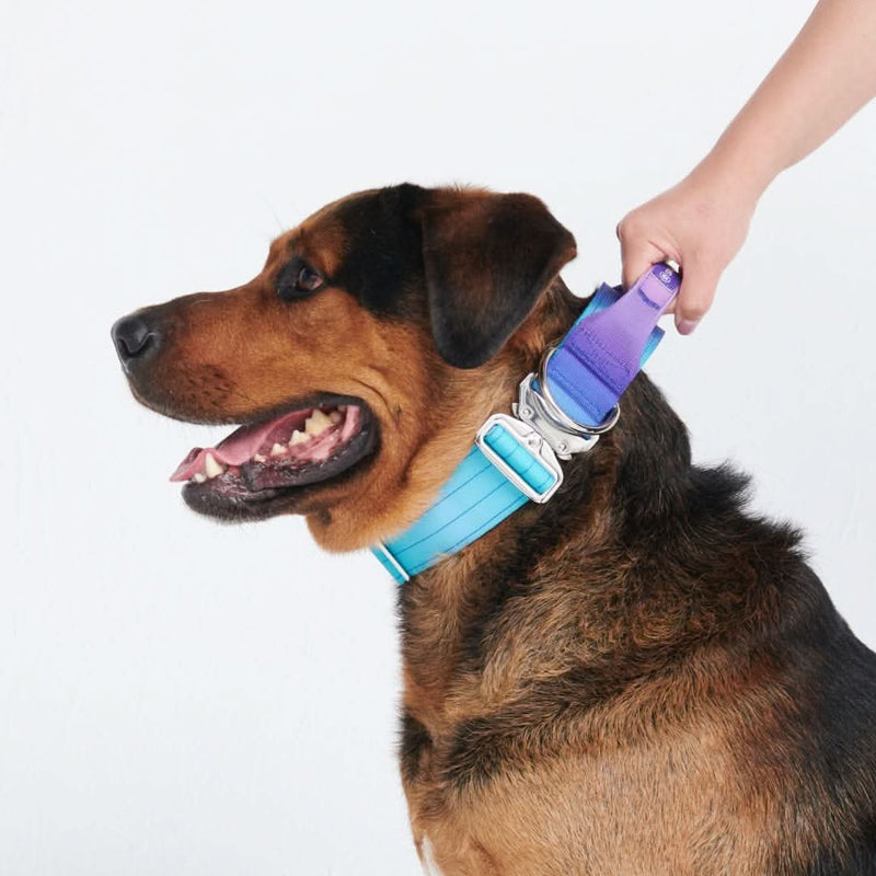 Collar táctico para perros - 90s Retro