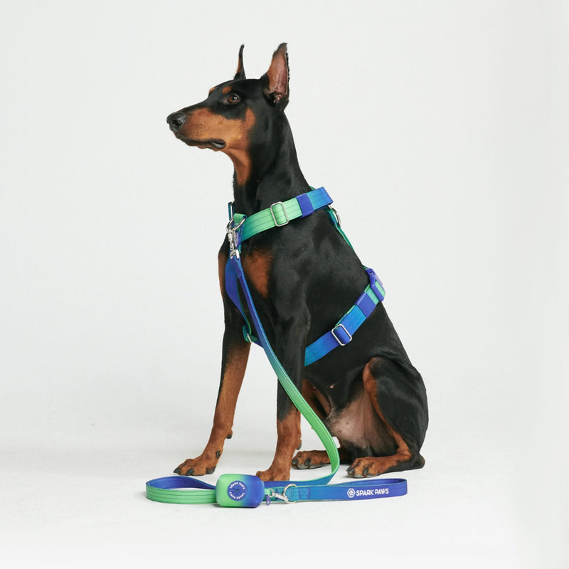 Set de Correa y Porta Bolsas para Excrementos - Lime Wave