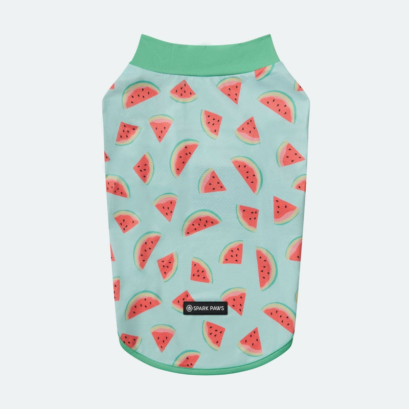 Camiseta bloqueadora de sol - Sandía