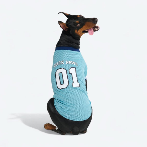 Camiseta de fútbol de malla - Azul