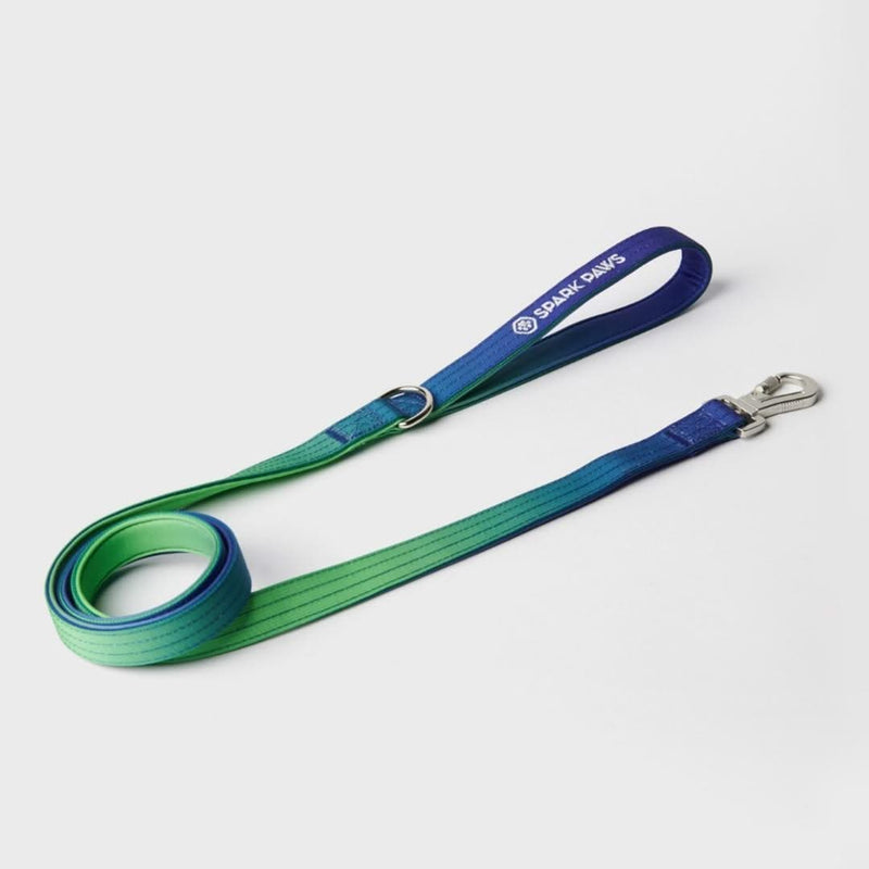 Set de Correa y Porta Bolsas para Excrementos - Lime Wave