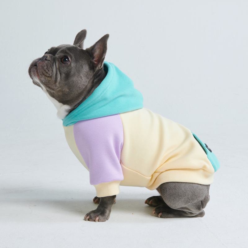 Sudadera para Perros - Costero