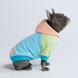 Jelly Bean Sudadera para Perro