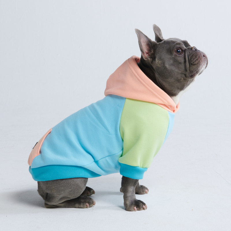 Jelly Bean Sudadera para Perro
