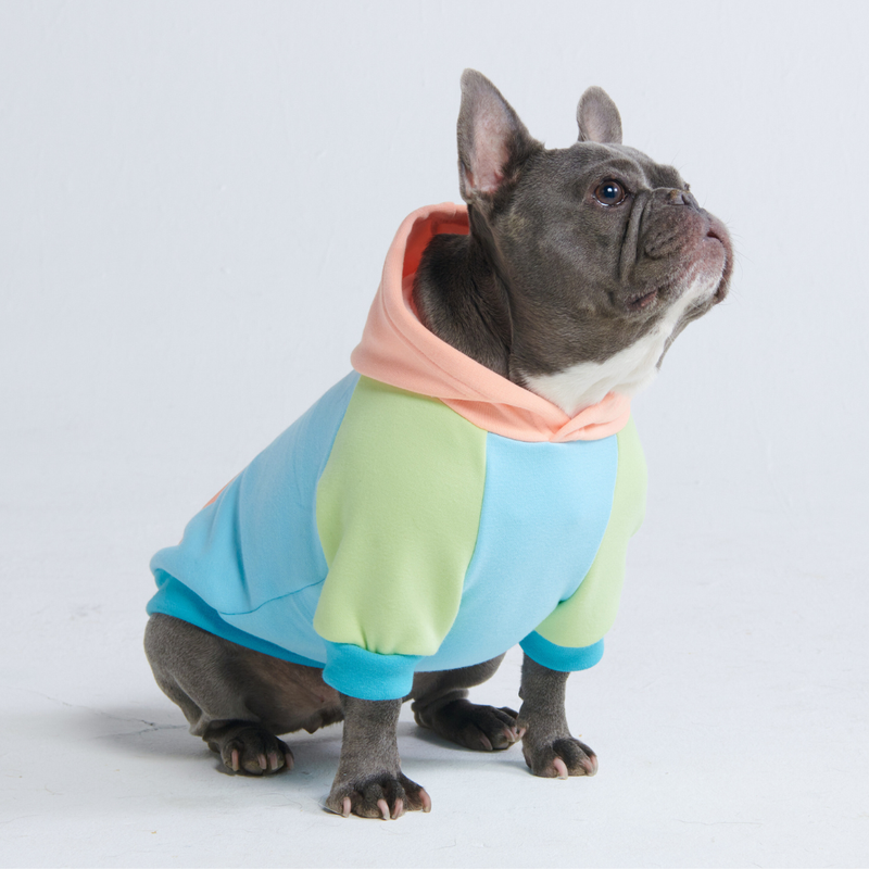 Jelly Bean Sudadera para Perro