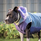 Purple and Blue Reversible Jacket