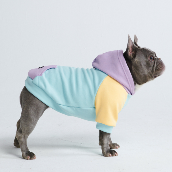 Sudadera para Perros - Ensoñación