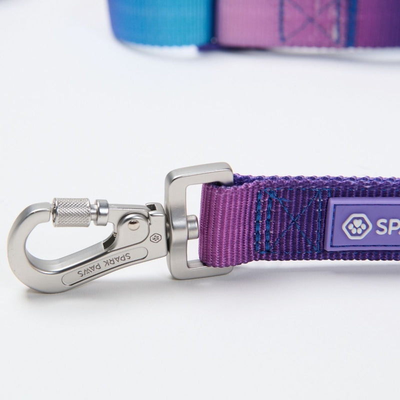 90s Retro Neoprene Leash