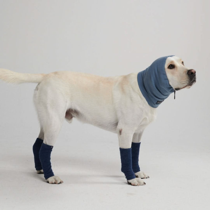 Protector para Orejas Calmantes de Ansiedad para Perros - Azul Marino