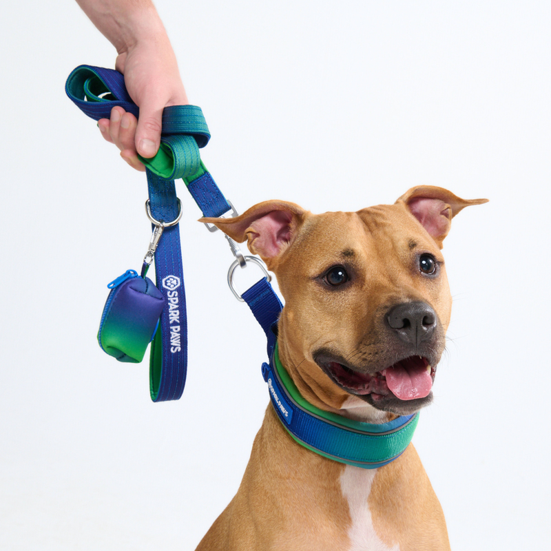 Lime Wave Martingale Collar||size:C,D,E