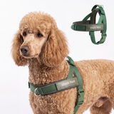 Army Green Grab and Go||size:4