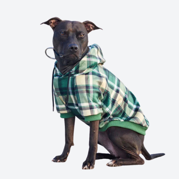 Sudadera a Cuadros para Perros - Cuadros verdes