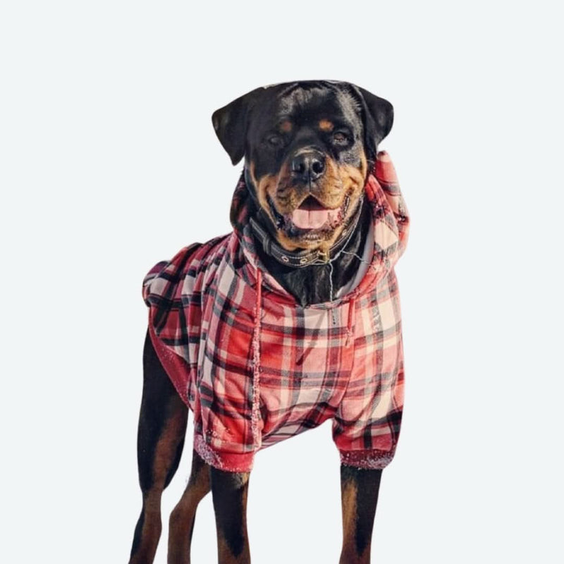 Sudadera a Cuadros para Perros - Cuadros rojos