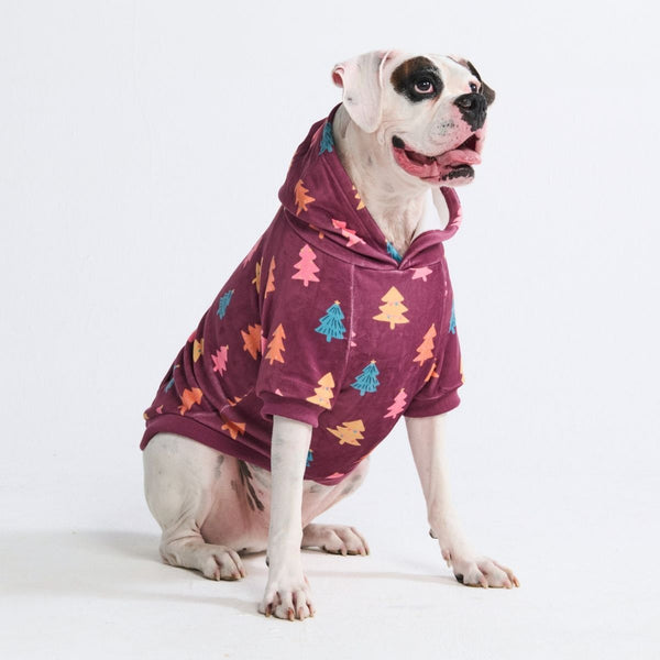 Sudadera con capucha para perro (terciopelo suave)