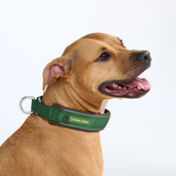 Green Martingale Collar||size:C,D,E