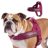 Fuchsia Camo Grab and Go||size:3