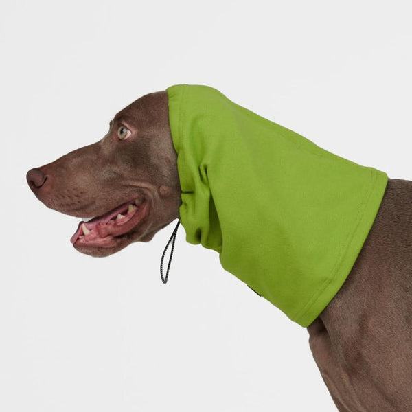 Protector para Orejas Calmantes de Ansiedad para Perros - Verde