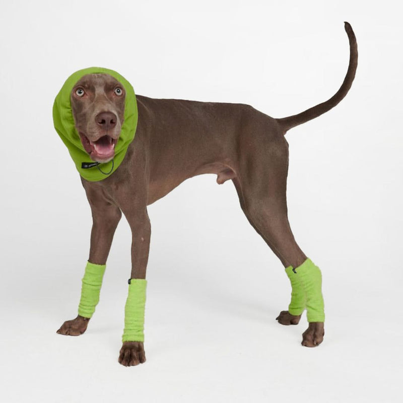 Protector para Orejas Calmantes de Ansiedad para Perros - Verde