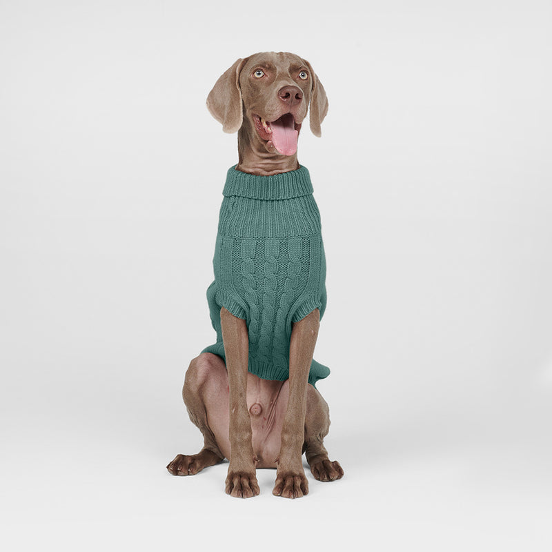 Suéter de punto de trenzas para perros - Verde pino