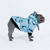 Sudadera con capucha para perro de Halloween - Verde azulado