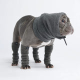 Protector para Orejas Calmantes de Ansiedad para Perros - Gris