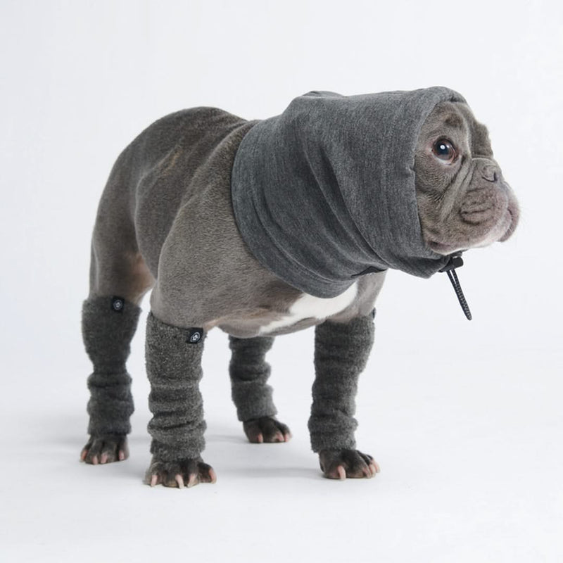 Protector para Orejas Calmantes de Ansiedad para Perros - Gris