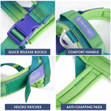 Lime Wave Grab and Go||size:1,2,3,4,5,6