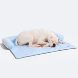 Hearts Blue||size:XL