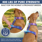 90s Retro Harness||size:S,M,L