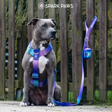 90s Retro Harness||size:S,M,L