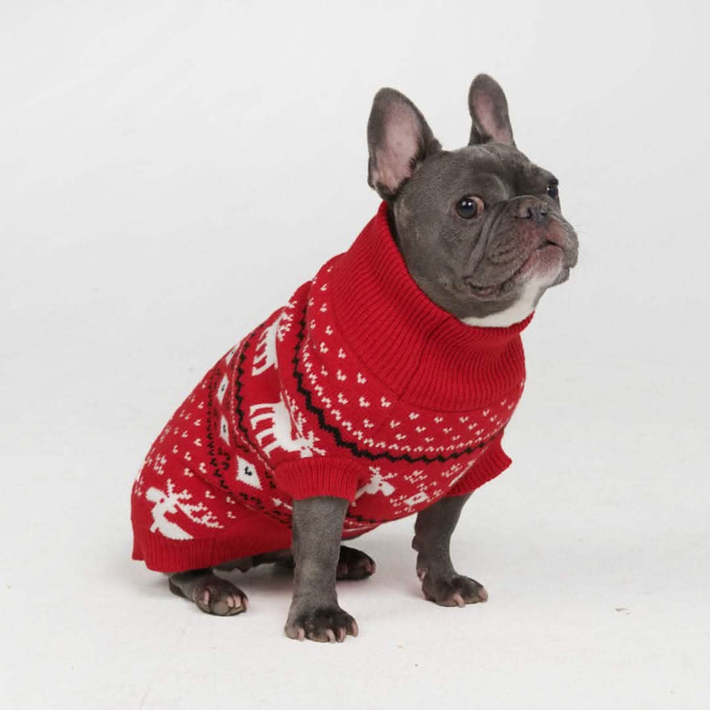 Suéter de punto para perro - Dasher Rojo