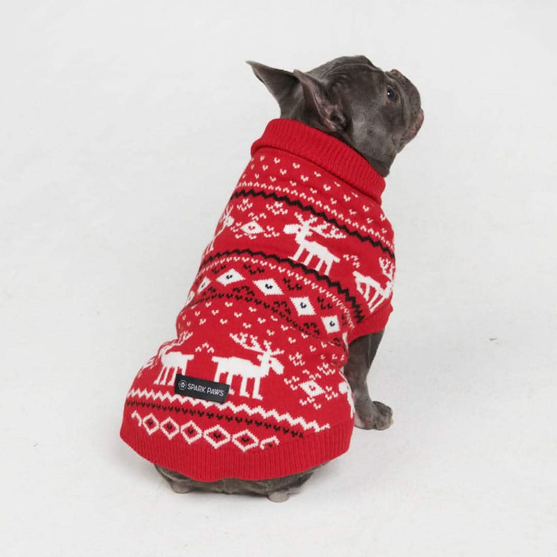 Suéter de punto para perro - Dasher Rojo