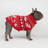 Suéter de punto para perro - Dasher Rojo