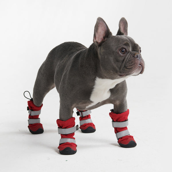 Botas para perros resistentes al agua con estructura flexible - Rojo