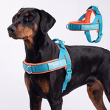 Teal Apricot Grab and Go||size:5