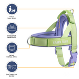 Violet Lime Grab and Go||size:1,2,3,4,5,6