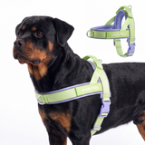 Violet Lime Grab and Go||size:6