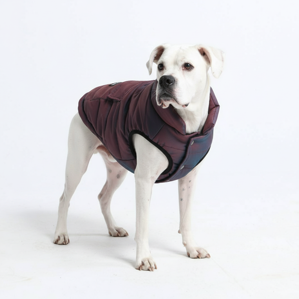 Chaqueta resistente al agua WarmShield - Cosmic