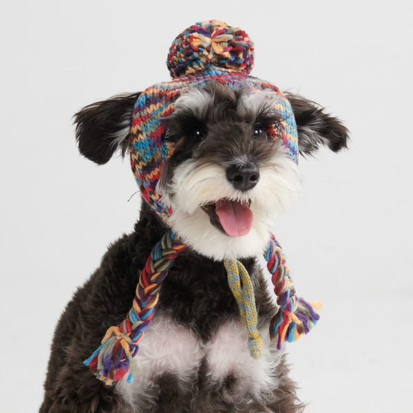 Gorro tejido con pompones para perros - Caleidoscopio