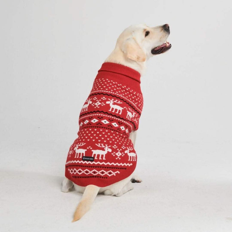 Suéter de punto para perro - Dasher Rojo